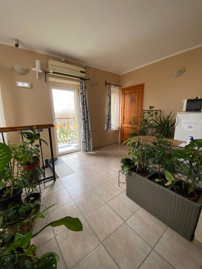 Verona Panzio Dobrokoz Εξωτερικό φωτογραφία